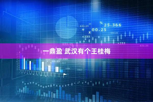 一鼎盈 武汉有个王桂梅