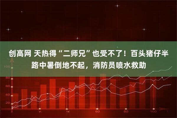 创高网 天热得“二师兄”也受不了！百头猪仔半路中暑倒地不起，消防员喷水救助