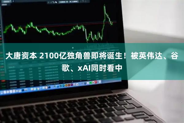 大唐资本 2100亿独角兽即将诞生！被英伟达、谷歌、xAI同时看中